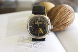 Panerai Radiomir luxury watch with black leather strap on open book, natural background
